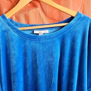 Woman Within Blue Tunic Top